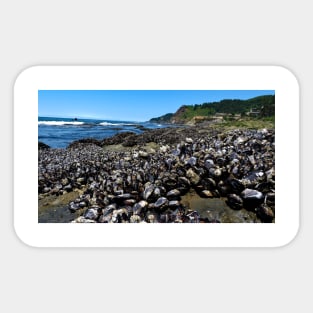 Otter Crest Beach Oregon Sticker